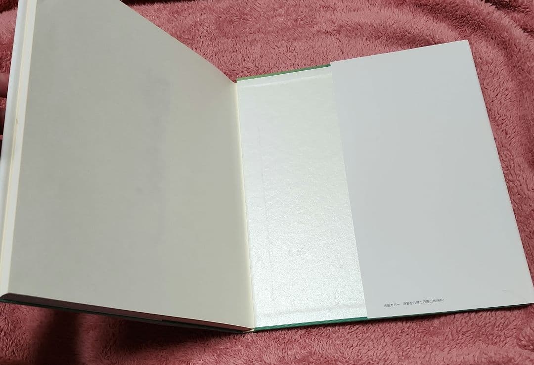 坂本直行作品集 京都書院 画集 六花亭 アート作品