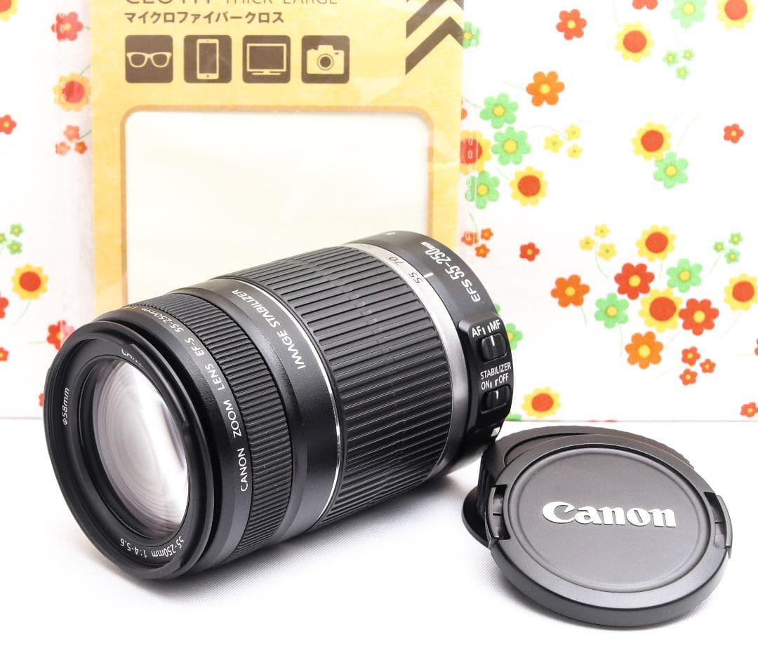 キャノン Canon EF-S 55-250mm IS☆お手軽望遠レンズ♪