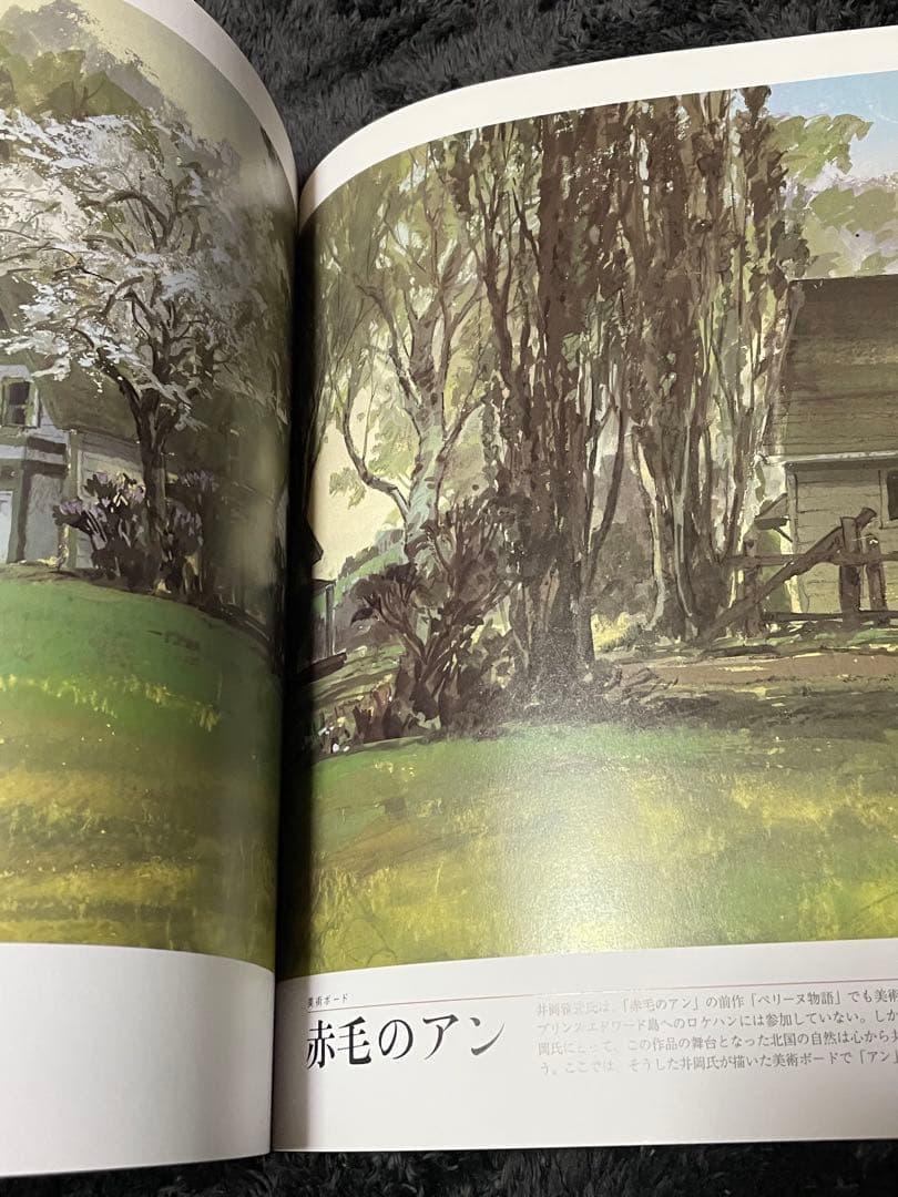 井岡雅宏画集 赤毛のアンやハイジのいた風景