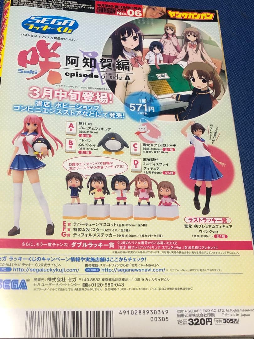 ヤングガンガン　2014年No.06 篠崎愛 特別付録ピンナップ付き