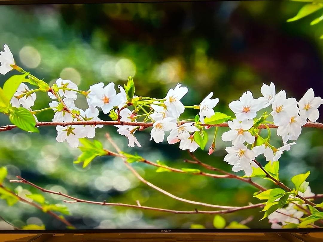 SONY BRAVIAKJ-49X9000F4Kテレビ2018年製