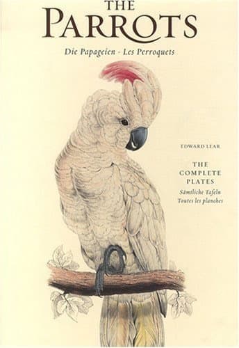 希少 The Parrots Die Papageien 鳥 コレクター 画集