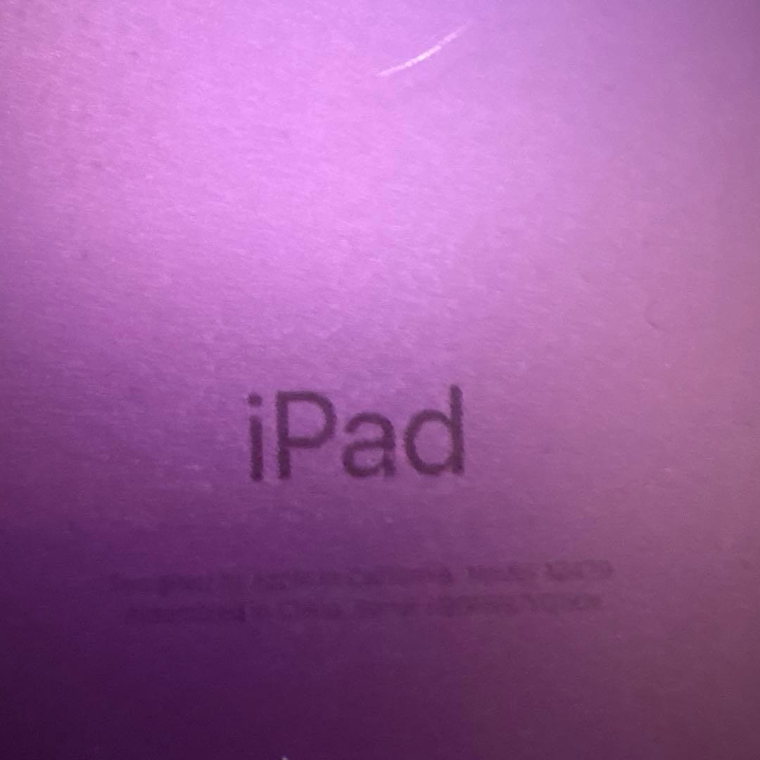 iPad(8th Genration)Wi-Fi+Cellular 本体