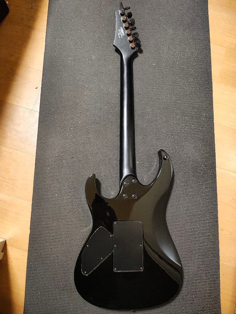 Cort EVL-X5/美品 専用ケース付