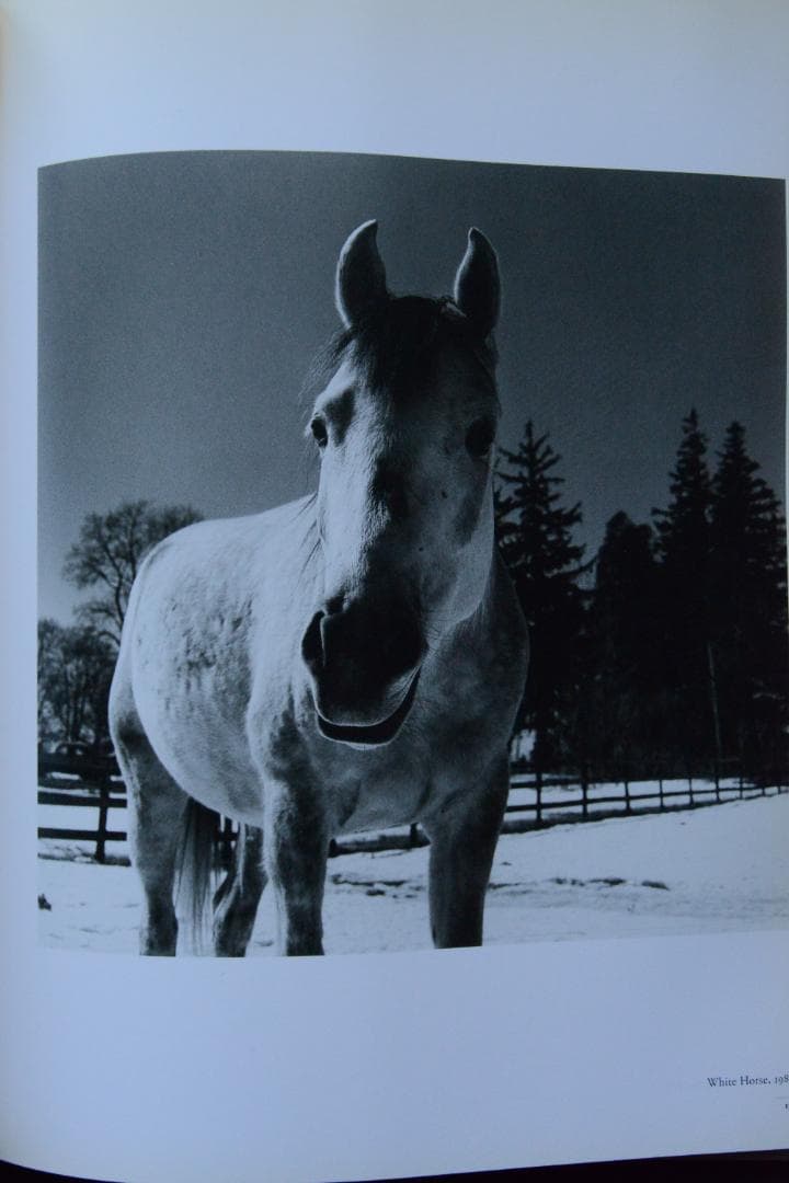 【Peter Hujar ：A Retrospective 】1994年初版