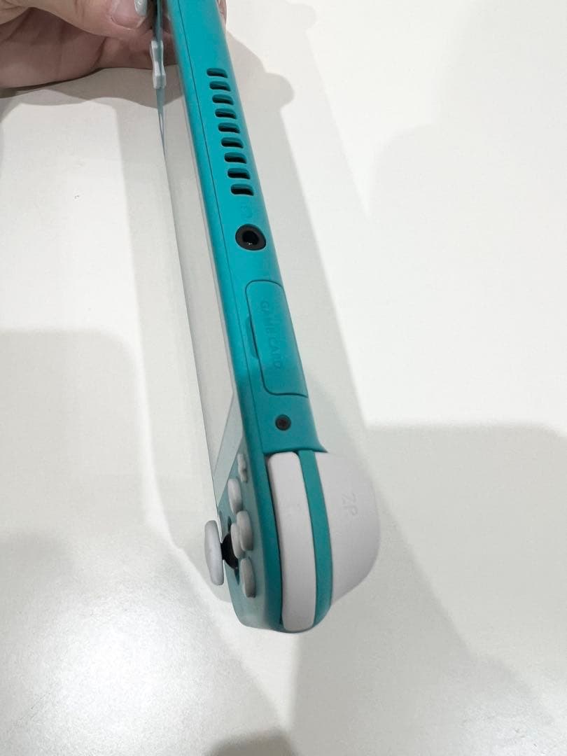 Nintendo Switch Lite 本体 充電ケーブル、ケース付