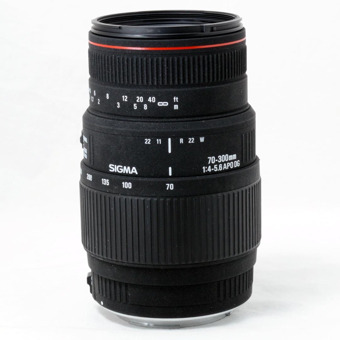 ⭐️実用品⭐️SIGMA 70-300mm APO DG MACRO キヤノン用