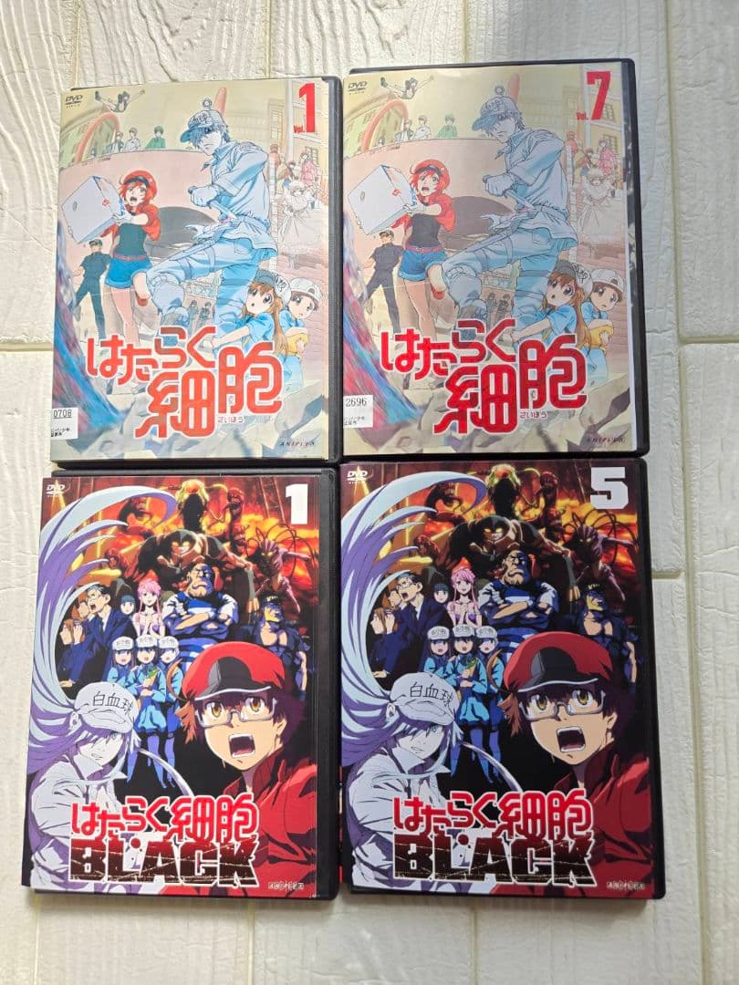 はたらく細胞 DVD レンタル　BLACK　全19巻セット フルコンプ