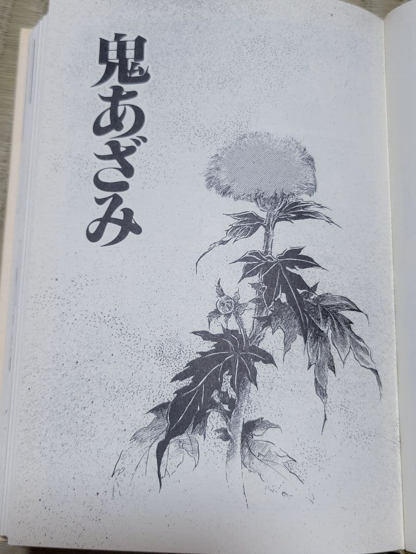 わたなべまさこ名作集 「恋のれん」愛蔵版　ハードカバー　帯付き