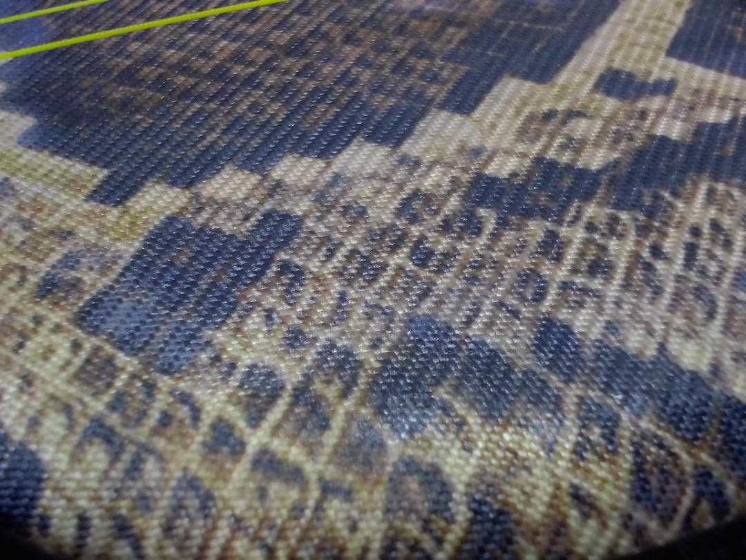 ひ*ろ様 14FF3456 蛇柄 へび柄　三味線　ハードケース付