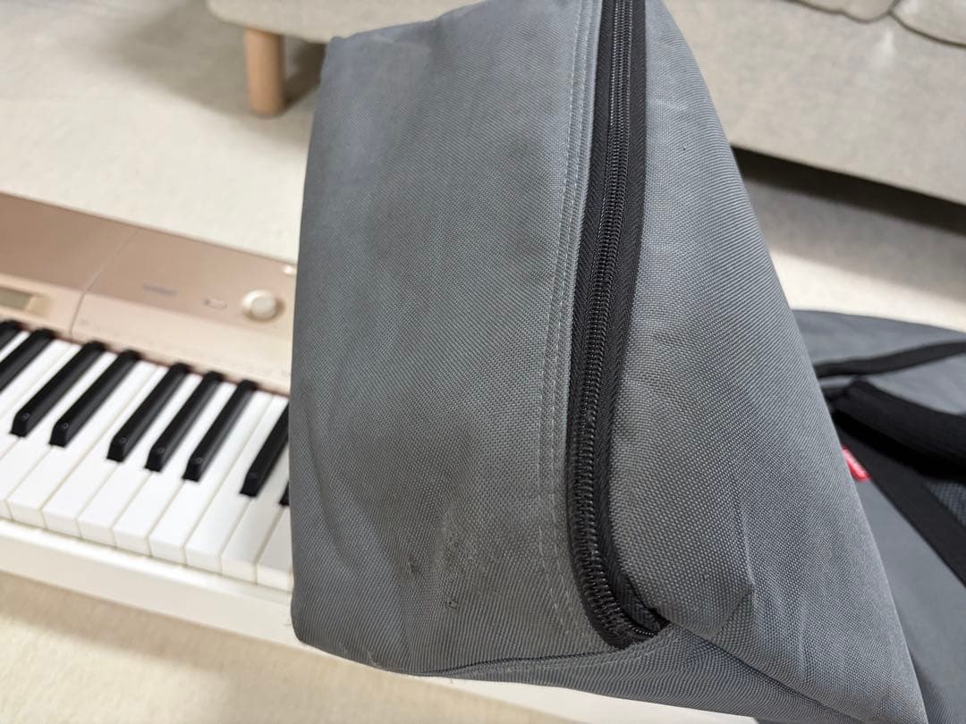 【ケース付き】CASIO 88鍵 電子ピアノ Privia PX-160GD