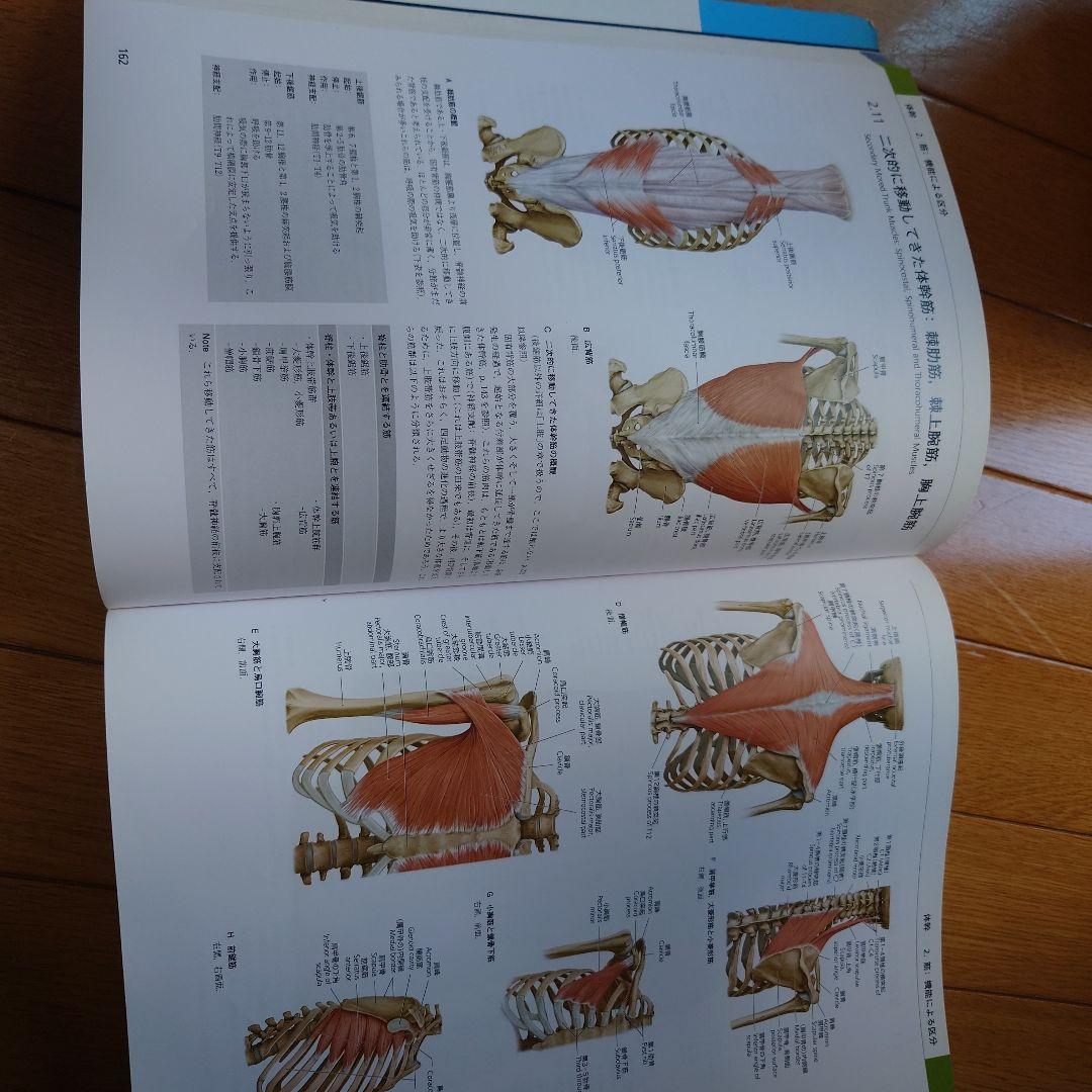 プロメテウス 解剖学アトラス 2版