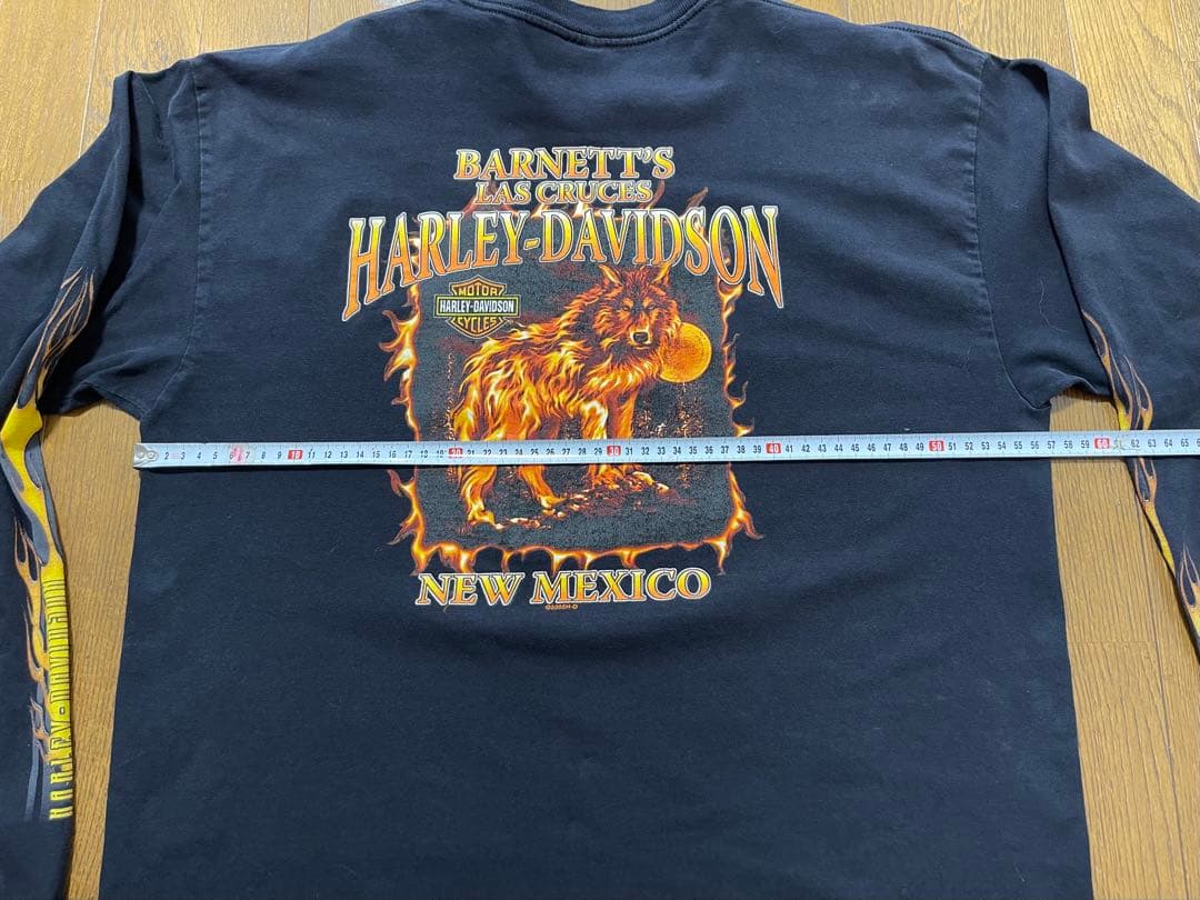 T*A様 Harley-Davidson Flame Wolf 00s Tシャツ