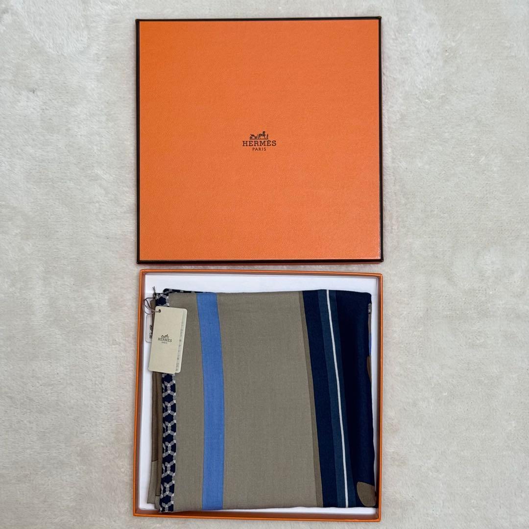 未使用品☆ HERMES エルメス カレH カレ65 サーフィン ファン　箱付き
