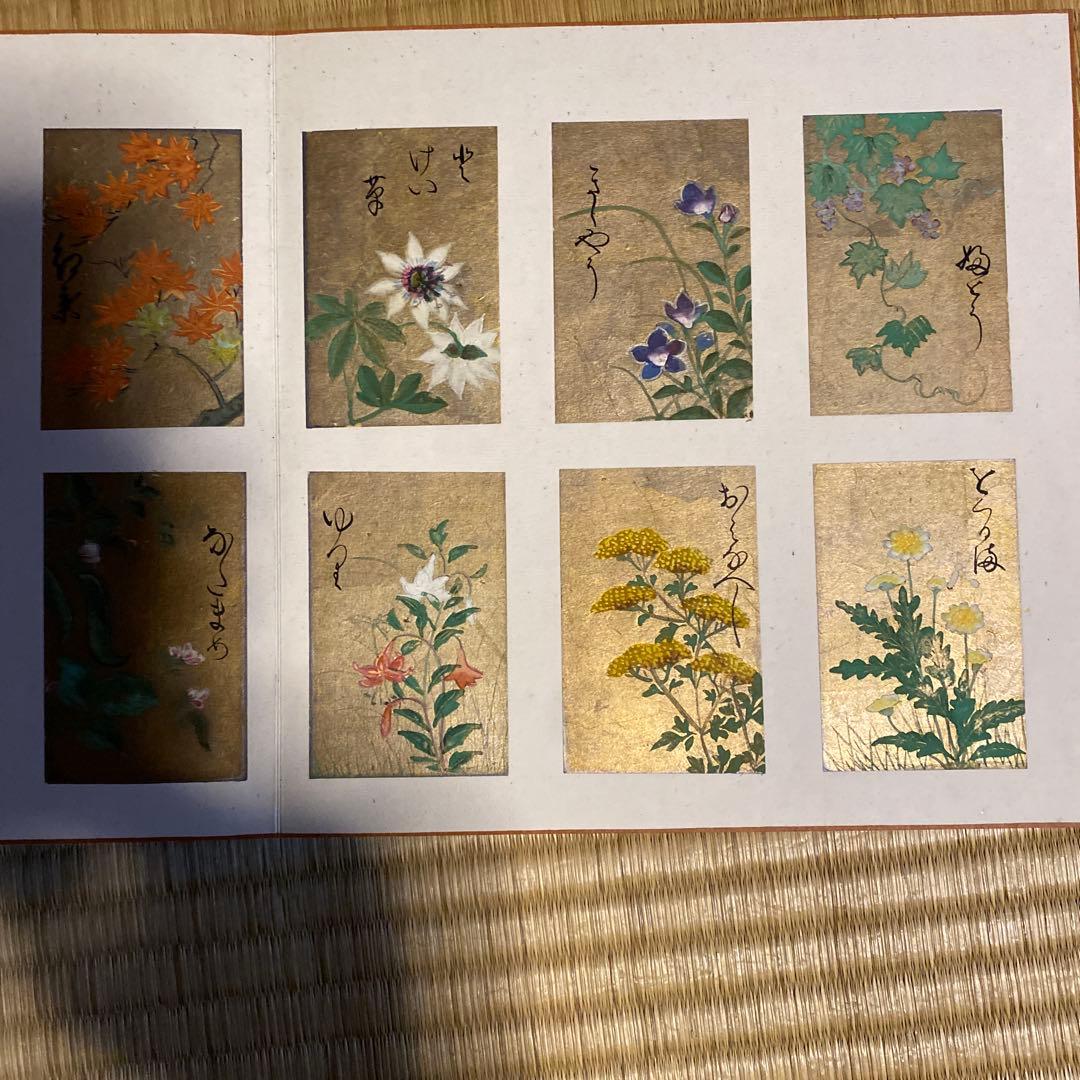 花の彩箋