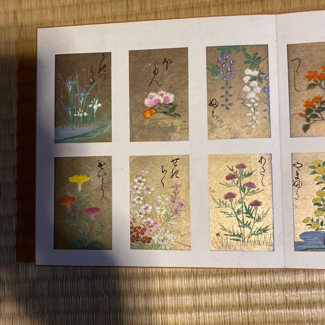 花の彩箋