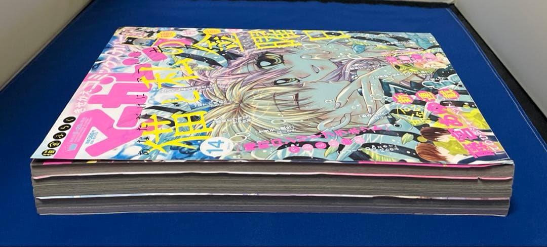 マーガレット2015年14号 猫と私の金曜日きせかえコミックスカバー付き