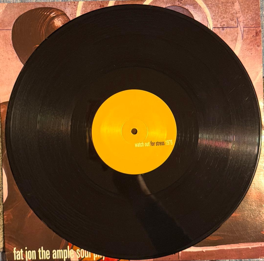洋楽 Fat Jon Wave Motion 2LP