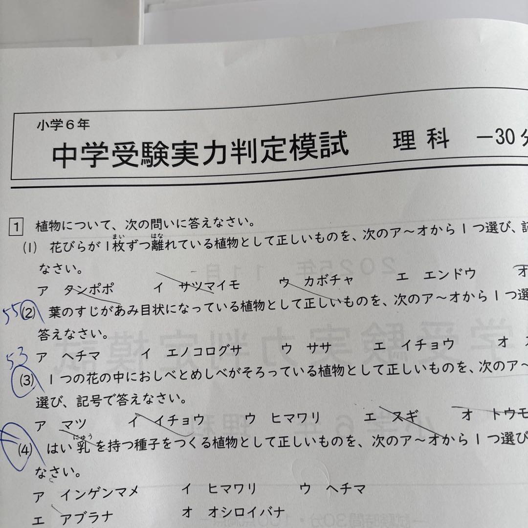 能開センター中学受験　6 年　実力判定模試　全冊