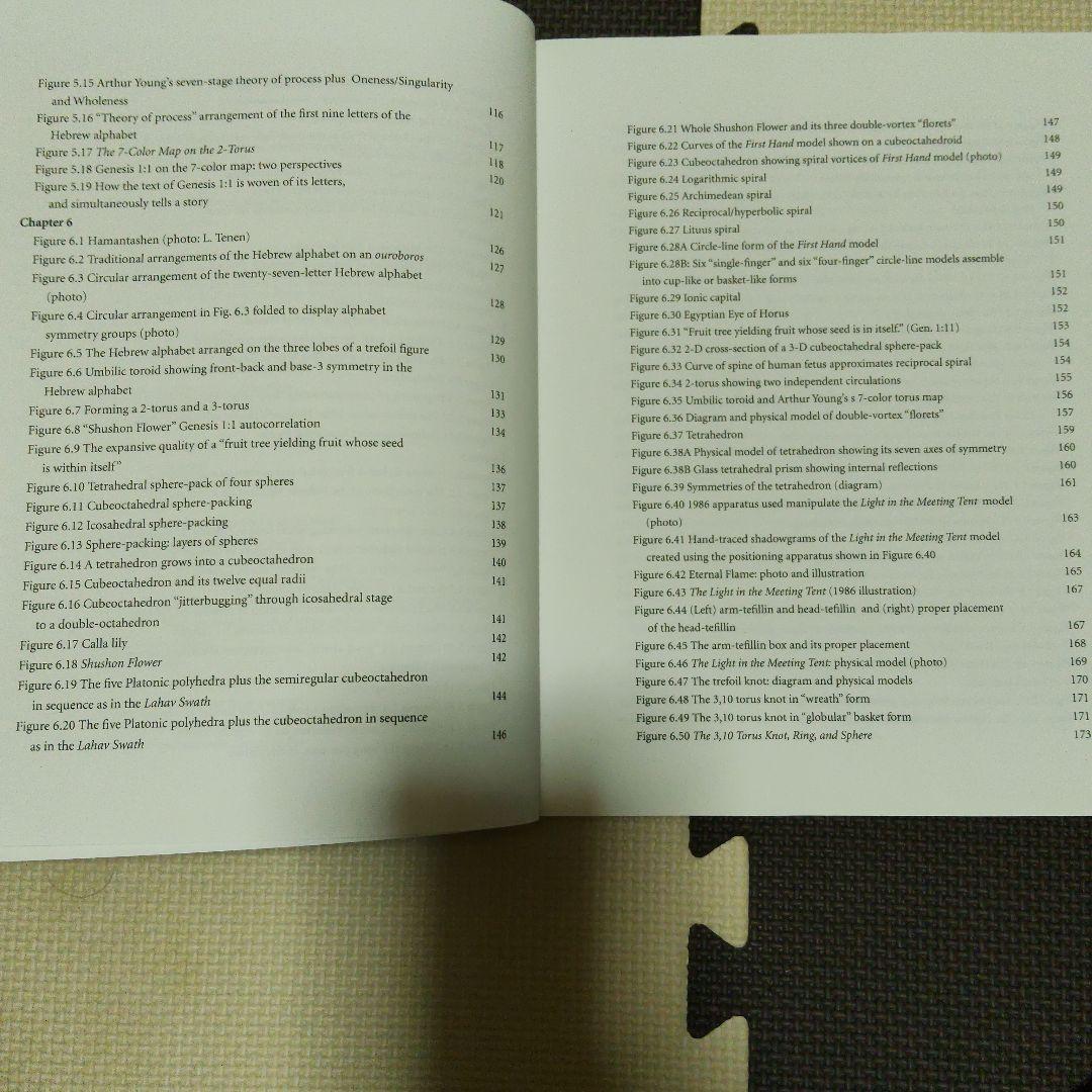 洋書 The Alphabet That Changed the World