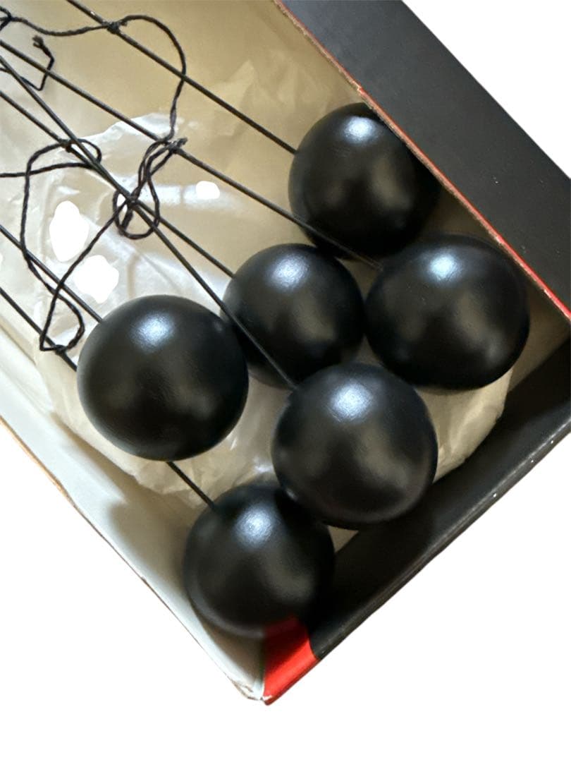 FLENSTED mobiles Futura 110 blackフレンステッド