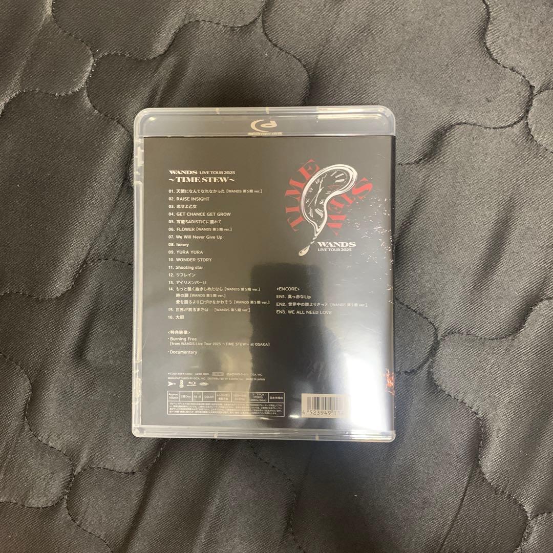 ミュージック WANDS DVD