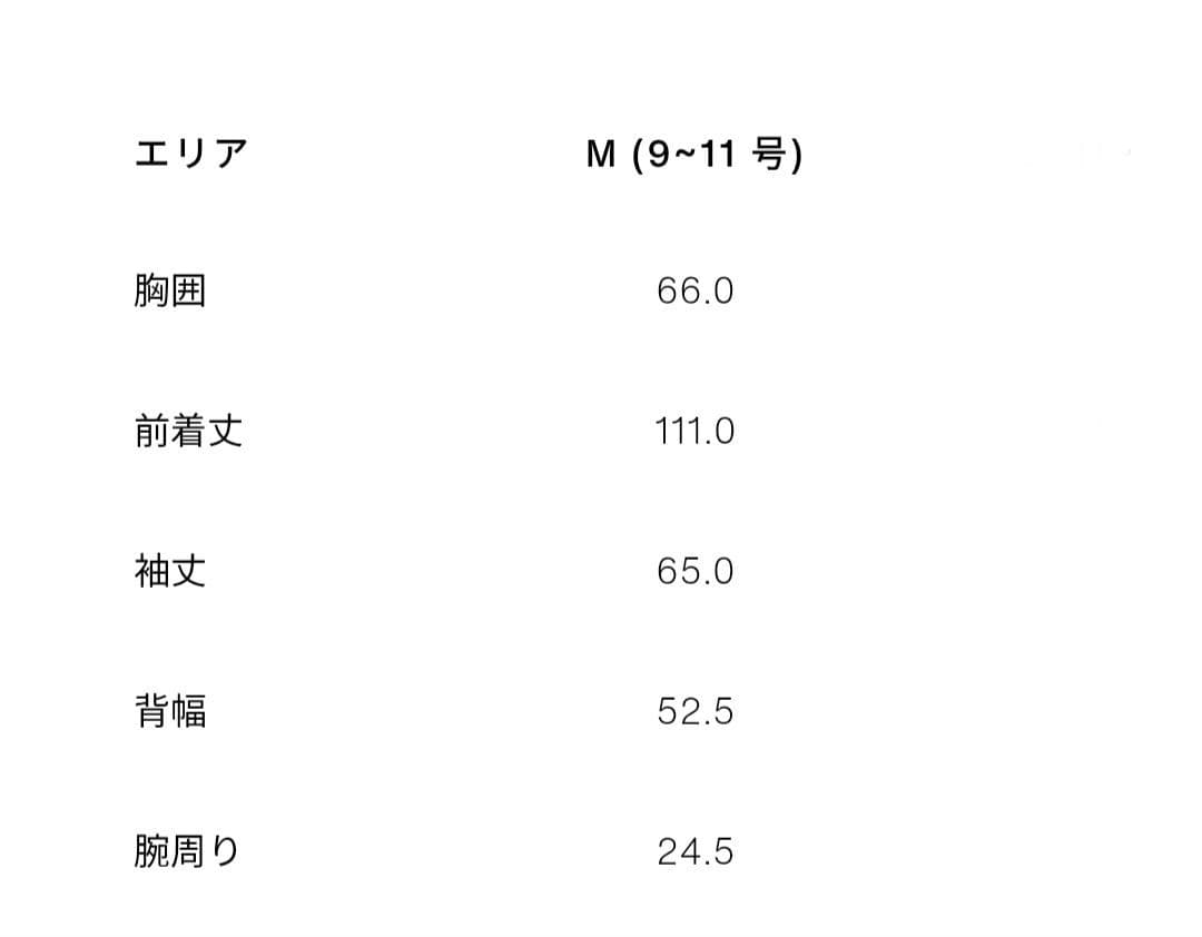 【新品タグ付き】ZARA シャイニーロングアノラック M