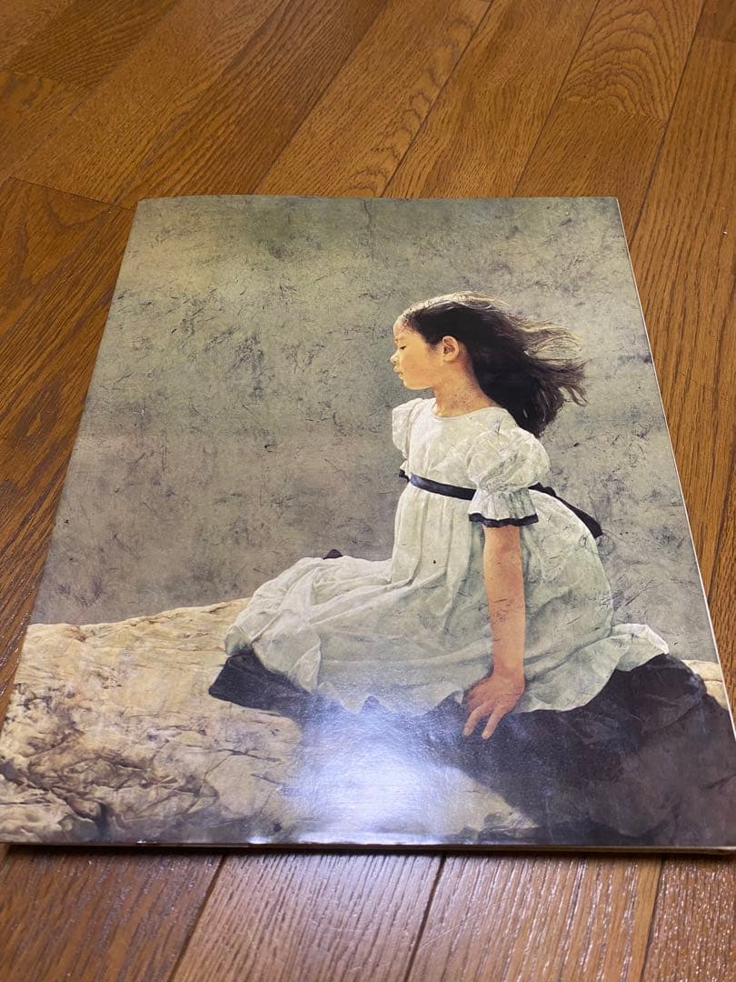 藤井勉　画集