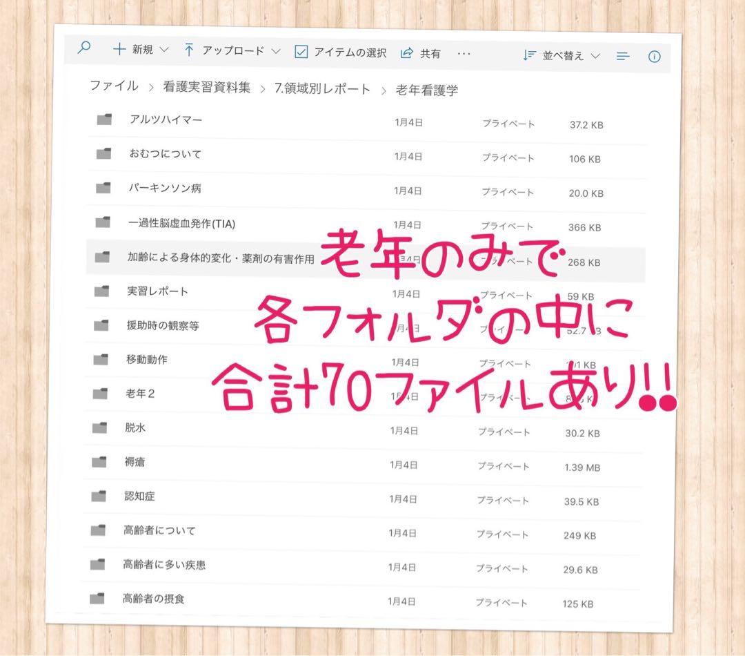 看護学校 看護学生 看護過程 看護実習 手順書 関連図 レポート 国家試験 国試
