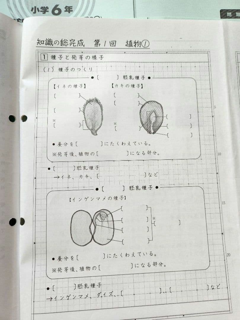 2025年度 サピックス6年生 土特　理科　欠番なし　知識の総完成　土曜特訓