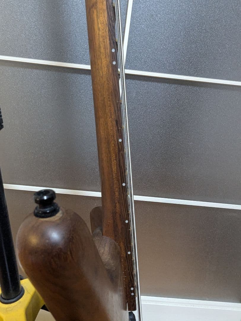 Warwick Thumb Bass BO ドイツ製