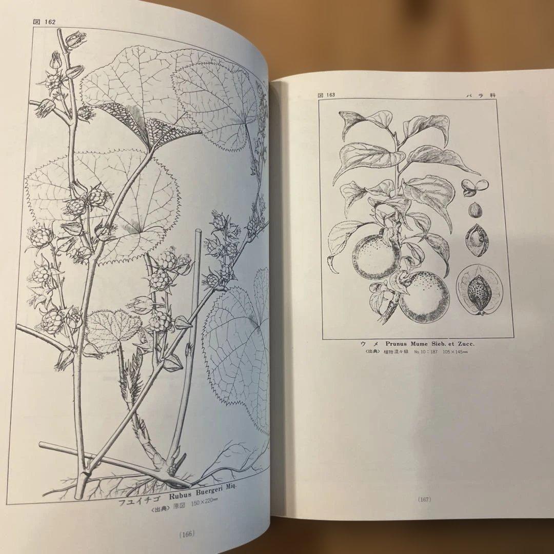 精選　牧野植物図集