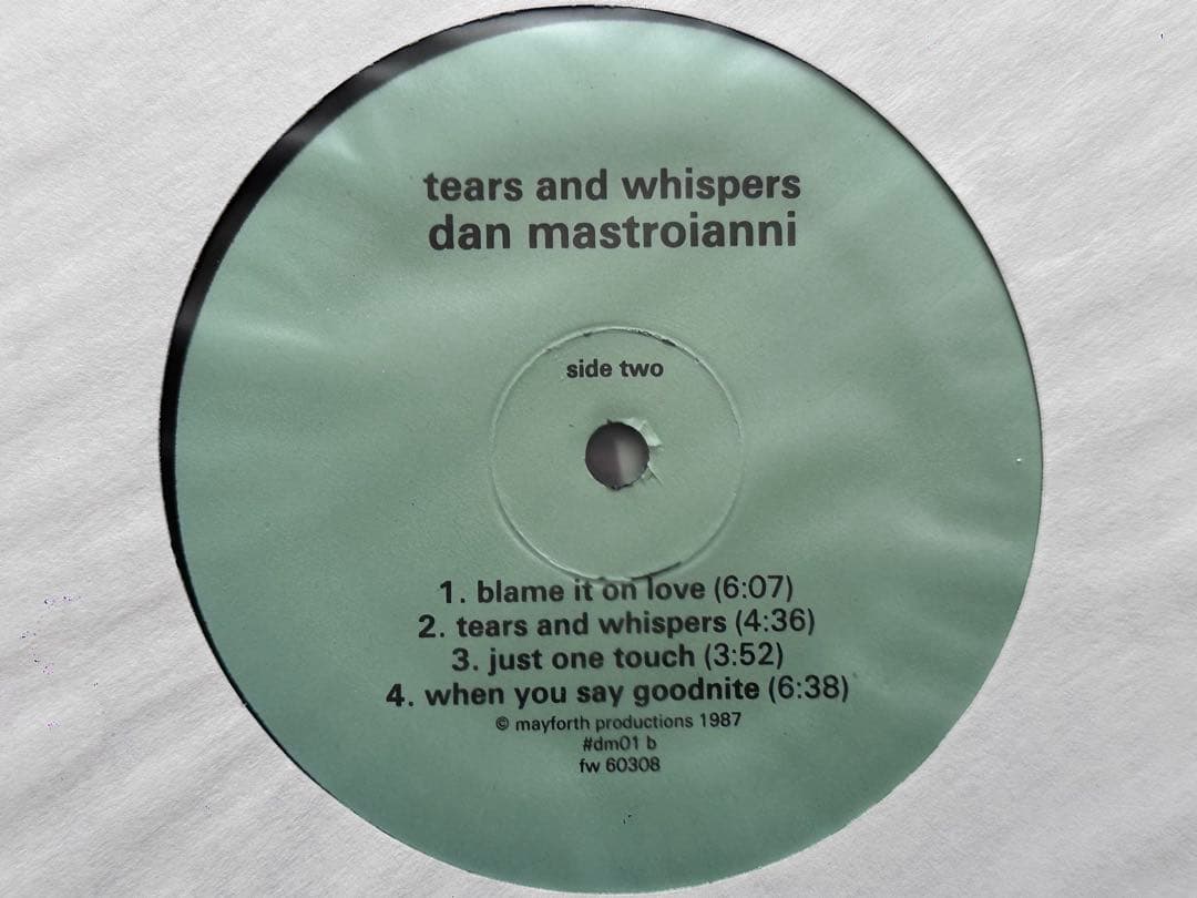 Dan Mastroianni『Tears & Whispers』自主 LP