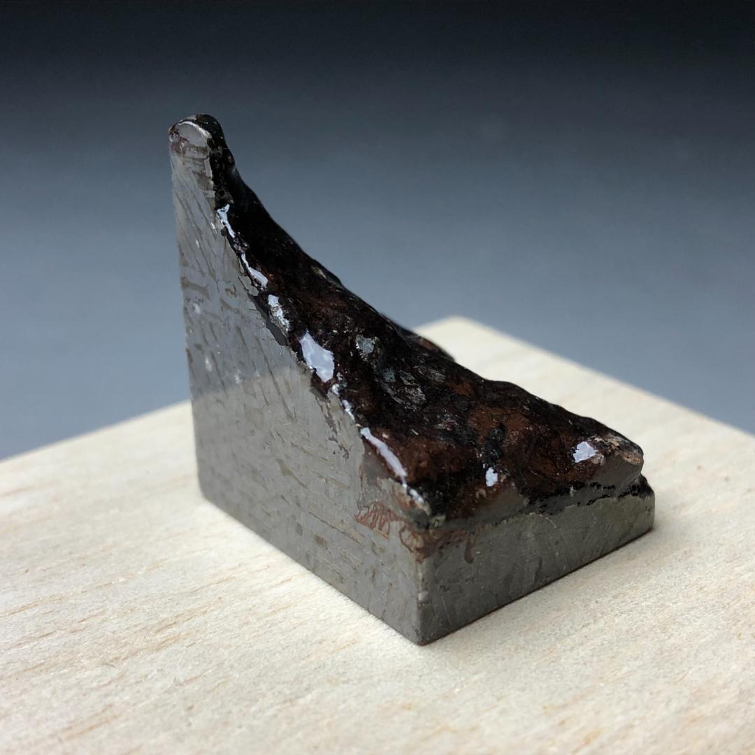 隕石 鉄隕石　アルタイ隕石　外皮付き　コーティング済み 重さ約50ｇ　ケース付き