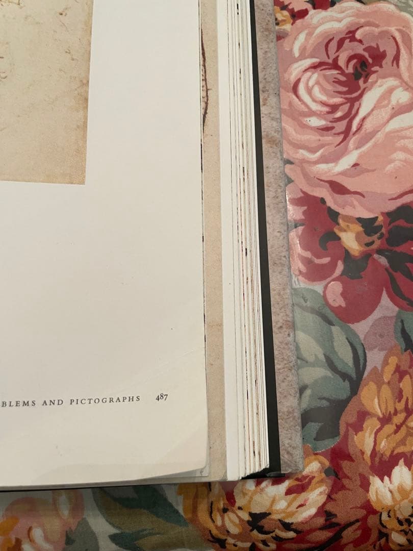 レオナルド　ダヴィンチ 全絵画作品　素描集 英語　フランク　ツォルナー