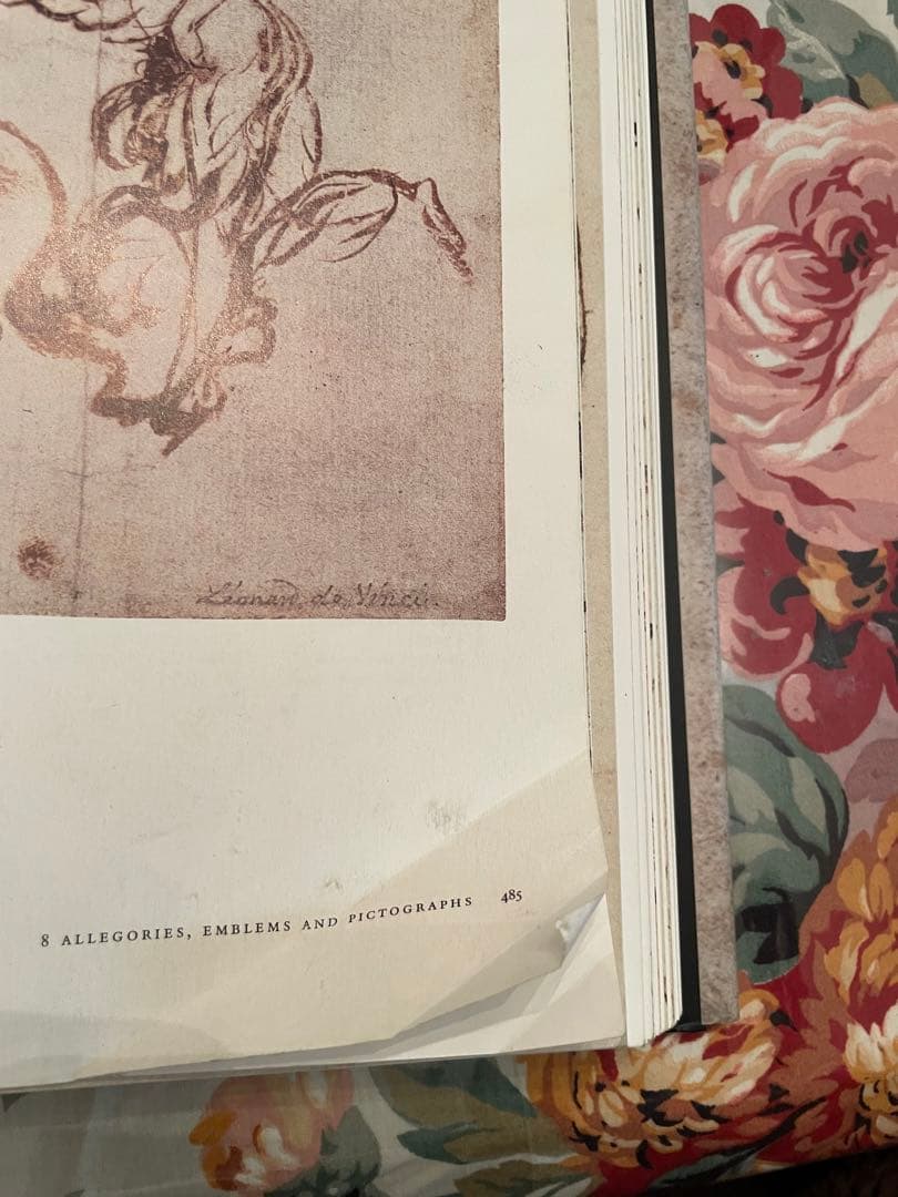 レオナルド　ダヴィンチ 全絵画作品　素描集 英語　フランク　ツォルナー