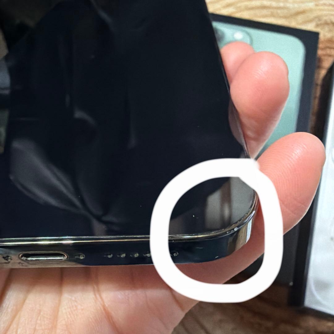 iPhone13ProMax 256GB アルパイングリーン