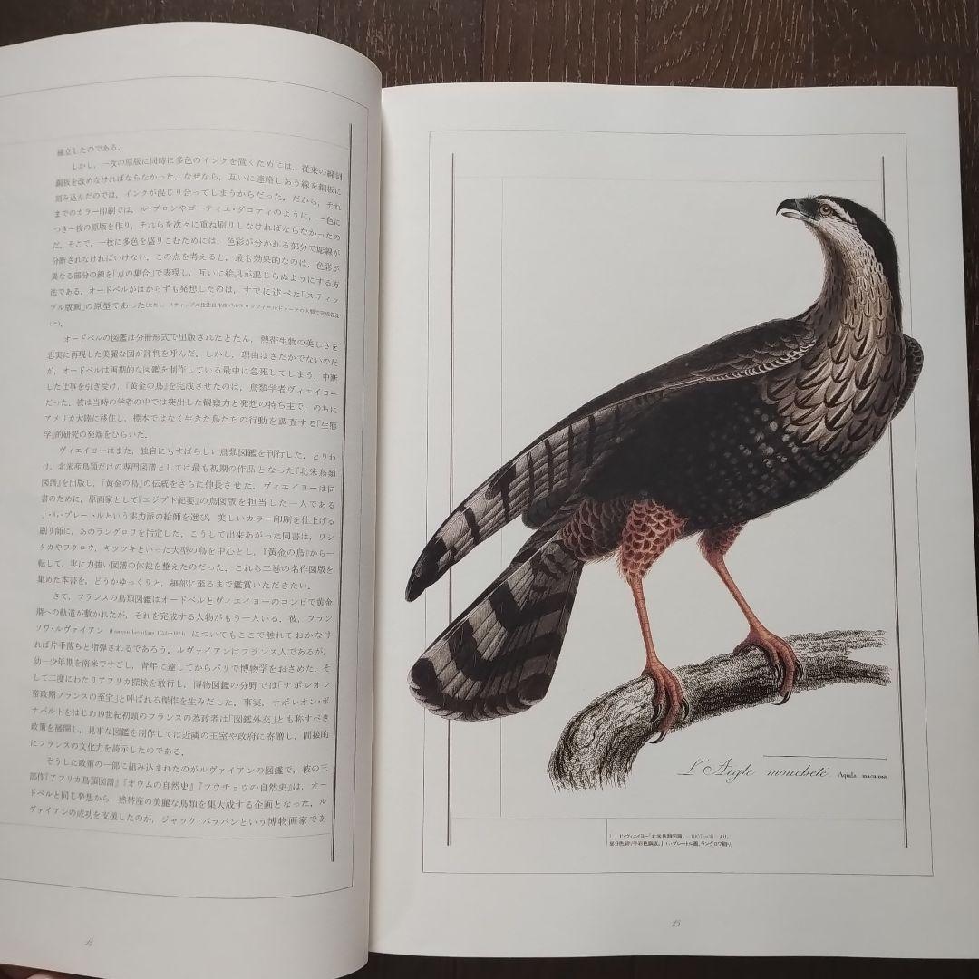 黄金の鳥　荒俣宏　1986 リブロポート