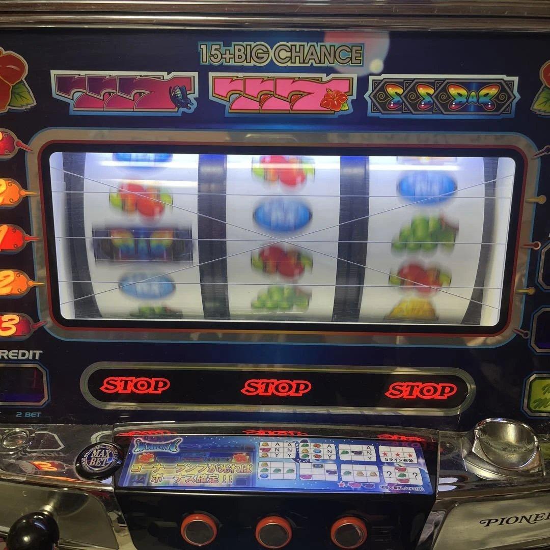 【送料込】ワンダーフライ　不要機仕様
