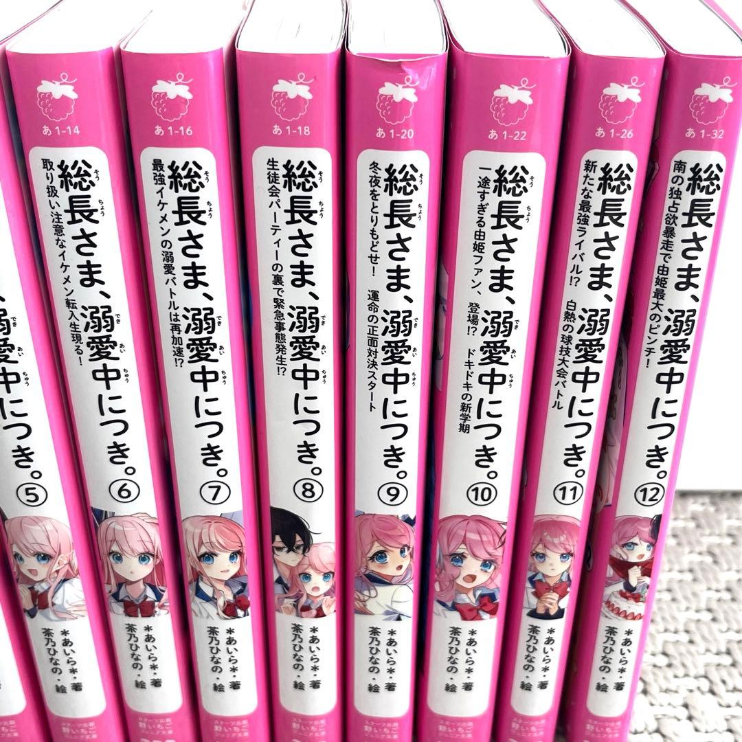 総長さま、溺愛中につき。1〜12巻セット 小説 茶乃ひなの ＊あいら＊ スターツ