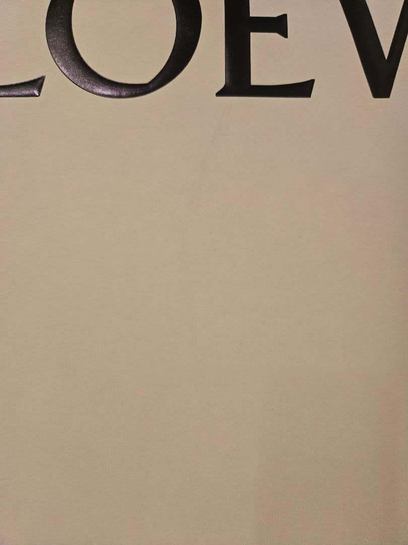 LOEWE マフラー【1度のみ/クリーニング済】