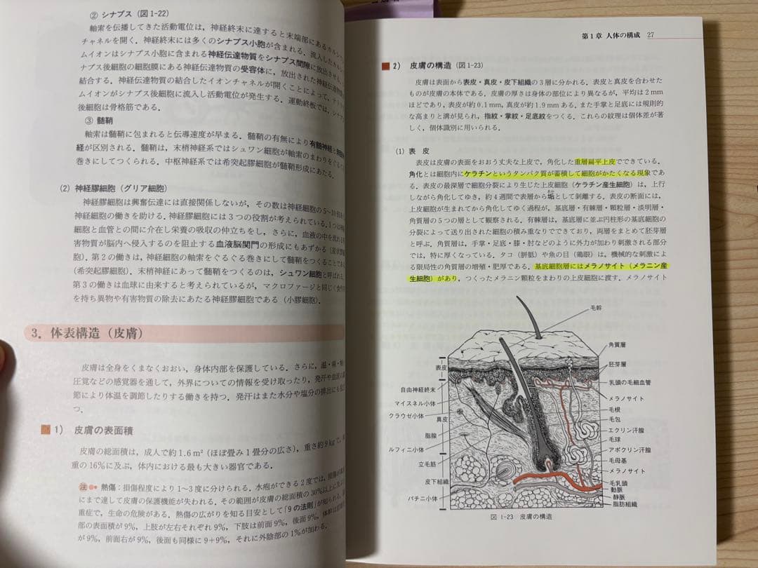 セット売り 解剖生理鍼灸理論テキスト