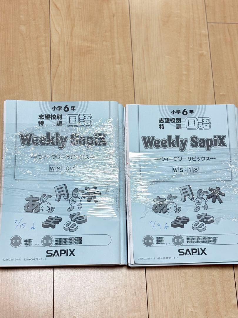 2026年Daily SapiX 国語 (A、B) Weekly Sapix国語