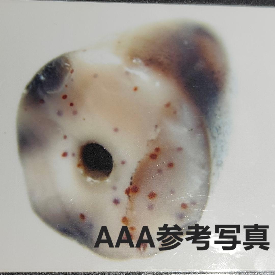 17 老礦　双魚二眼　天珠　天然石　風水　御守り　占い　ブレスレット　ネックレス