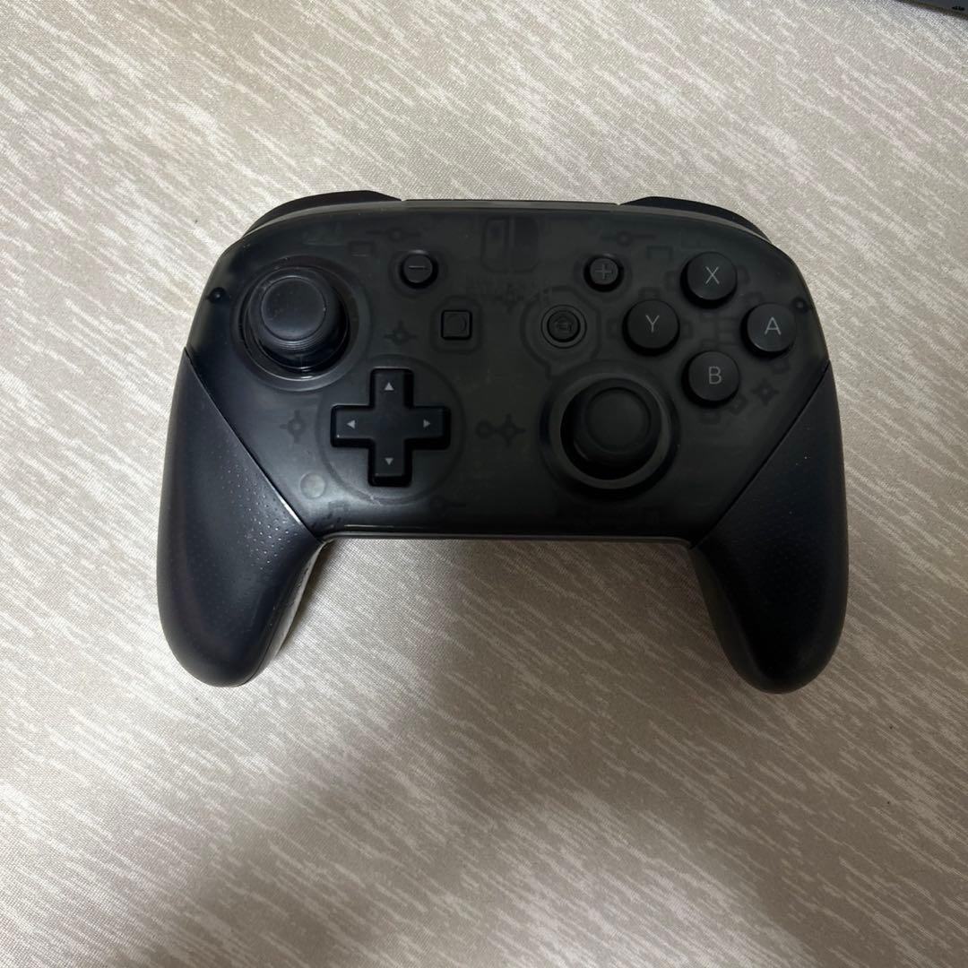Nintendo Switch Lite グレー 本体と付属品