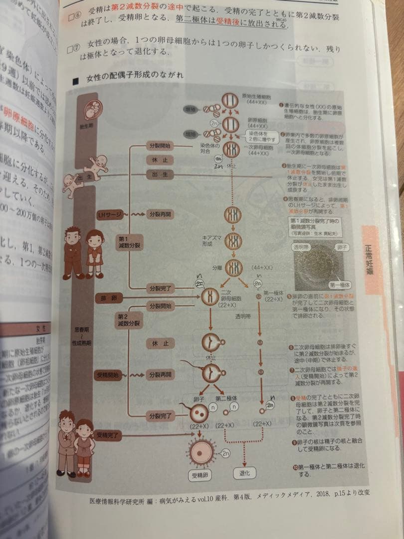 CBT・医師国家試験のためのレビューブック 産婦人科 2020-2021