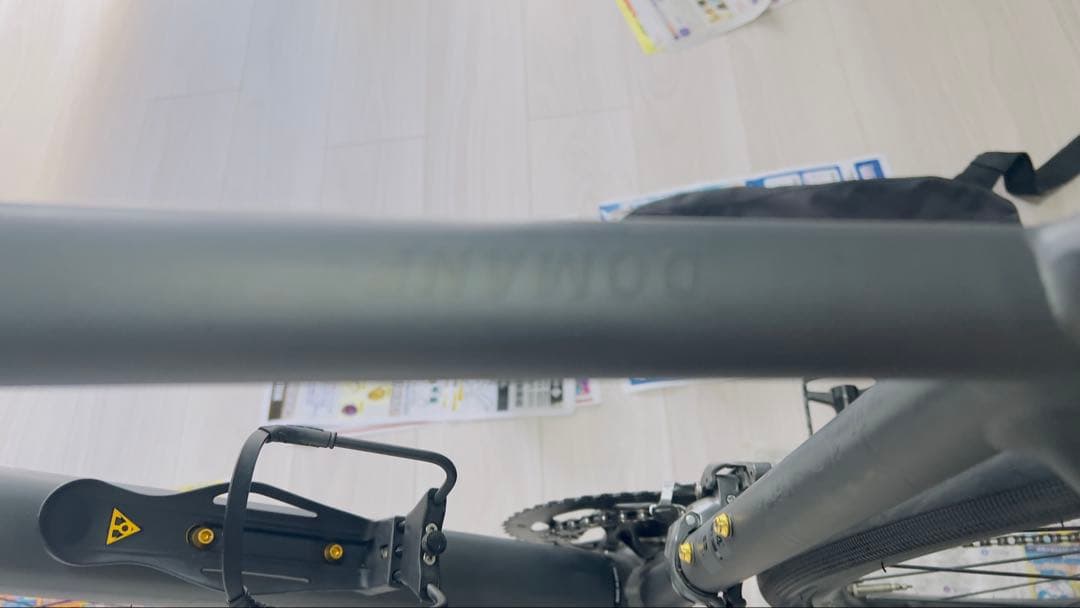 名古屋市大曽根手渡しのみTREK DOMANE AL 2 GEN 4