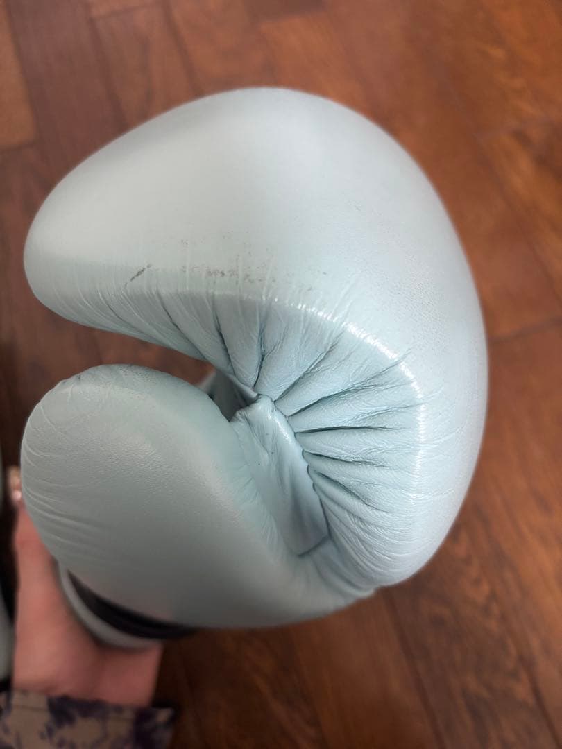 フェアテックス Fairtex BGV20 ボクシンググローブ 10oz