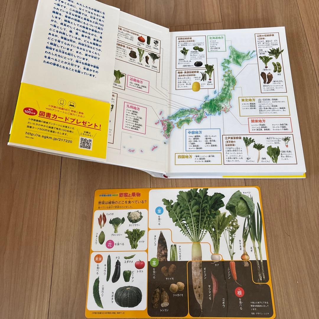 定価26840円　小学館の子ども図鑑　NEO　11冊　セット　DVD付
