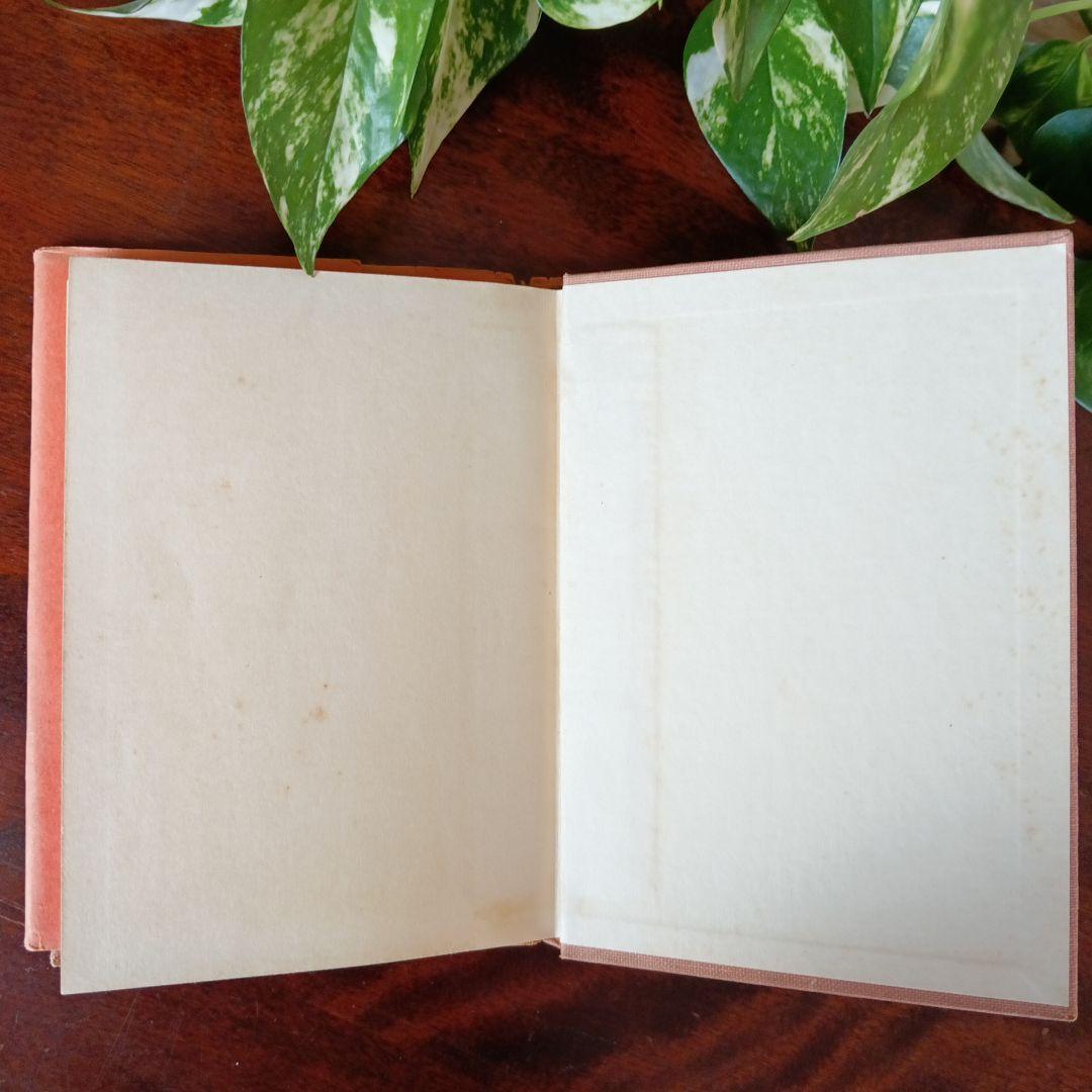 洋書古書 1957年 希少　エイナル ・ネイマン挿絵　画集　アート　ヴィンテージ